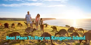 Best Place To Stay on Kangaroo Island