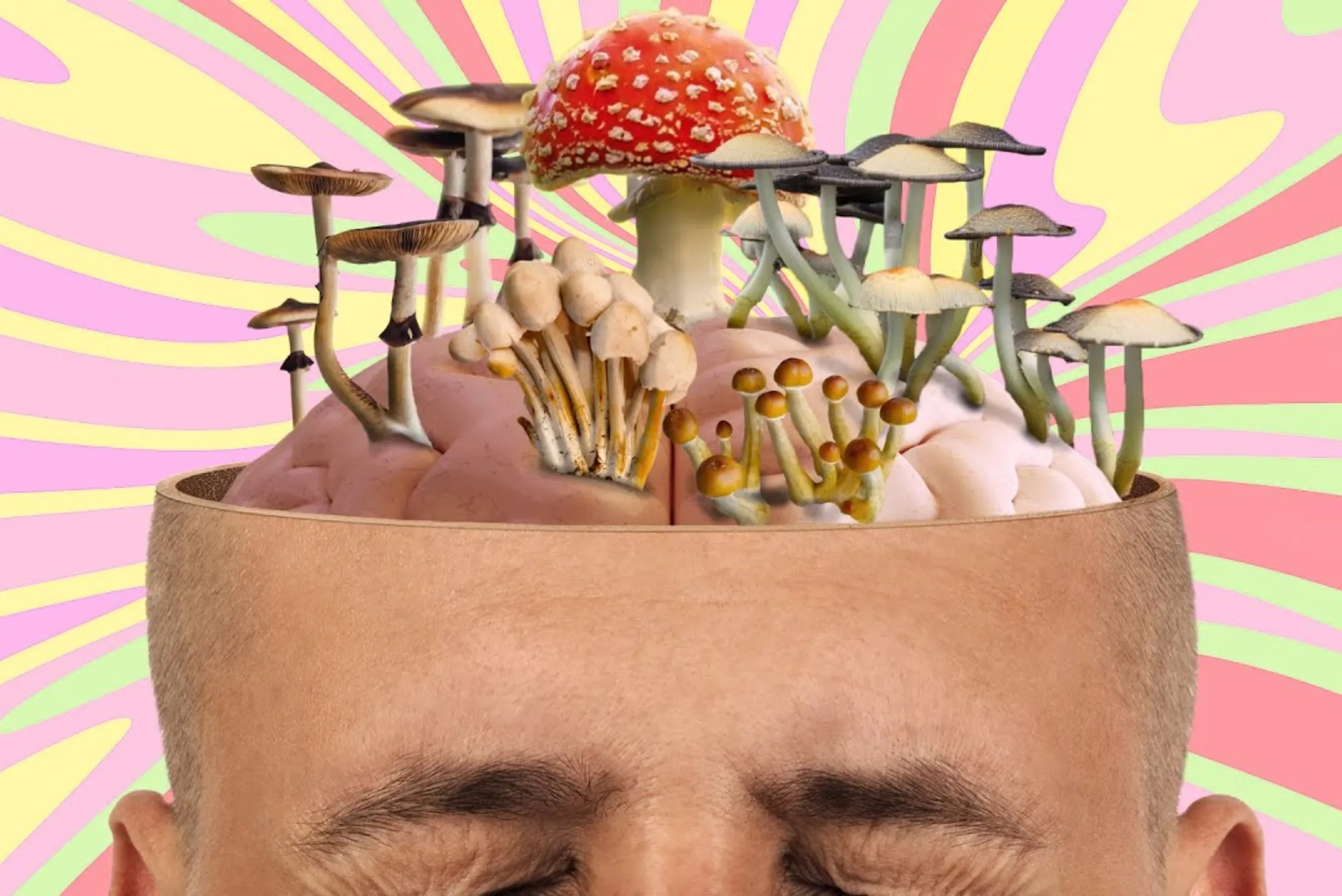 Best Thing To Do On Shrooms