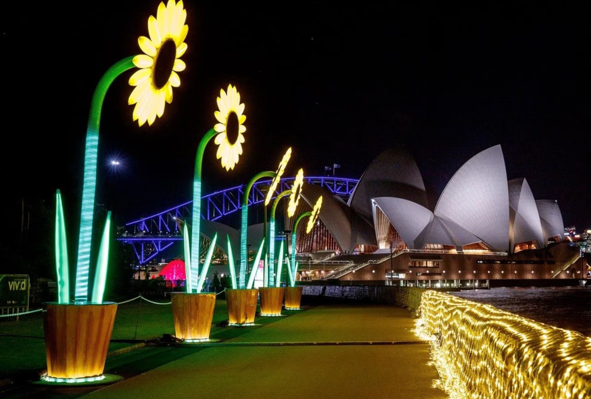 best place to watch vivid sydney