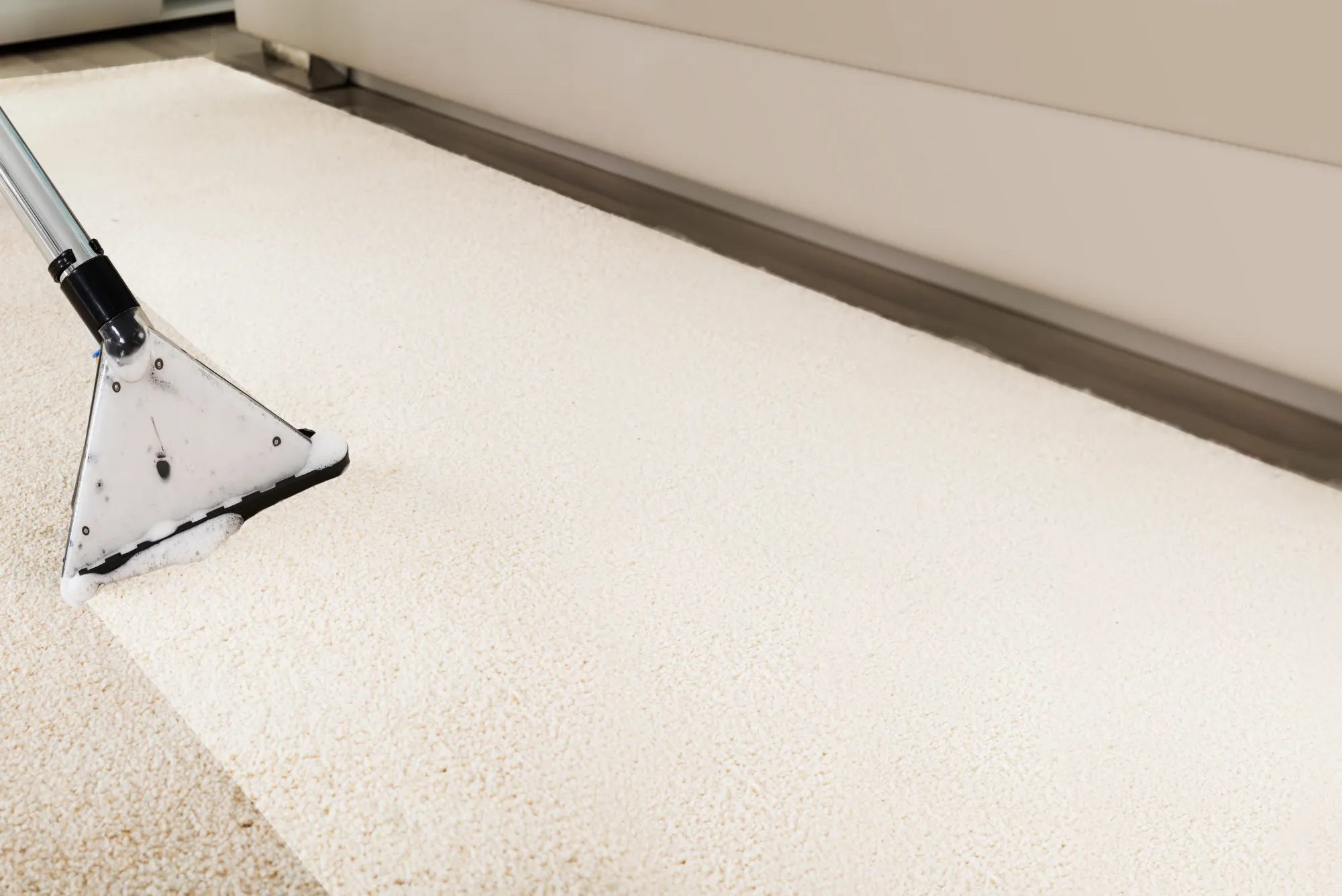 The Ultimate Carpet Cleaning Guide for Vancouver Families