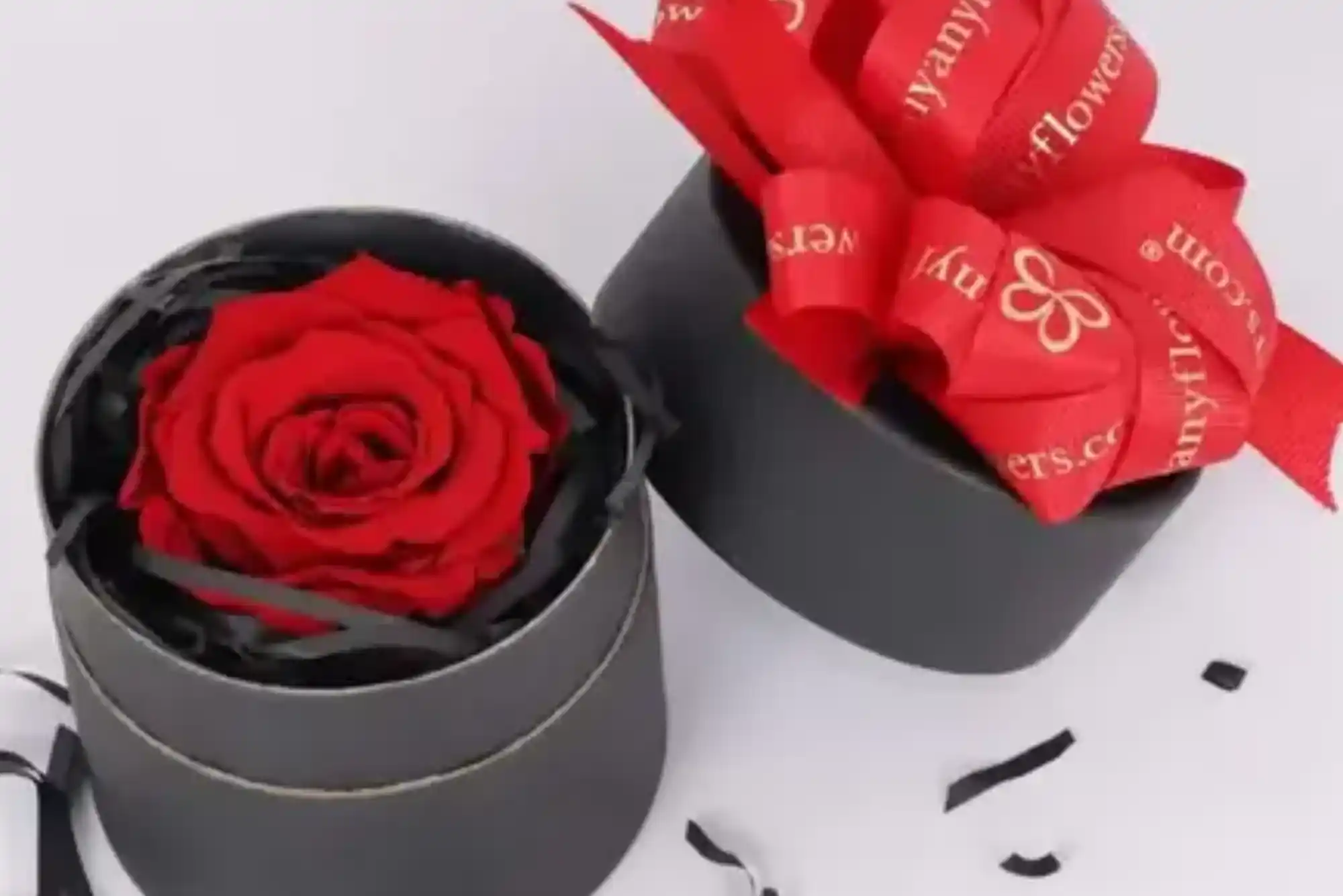 Where is Red Rose UAE located and how to get there?