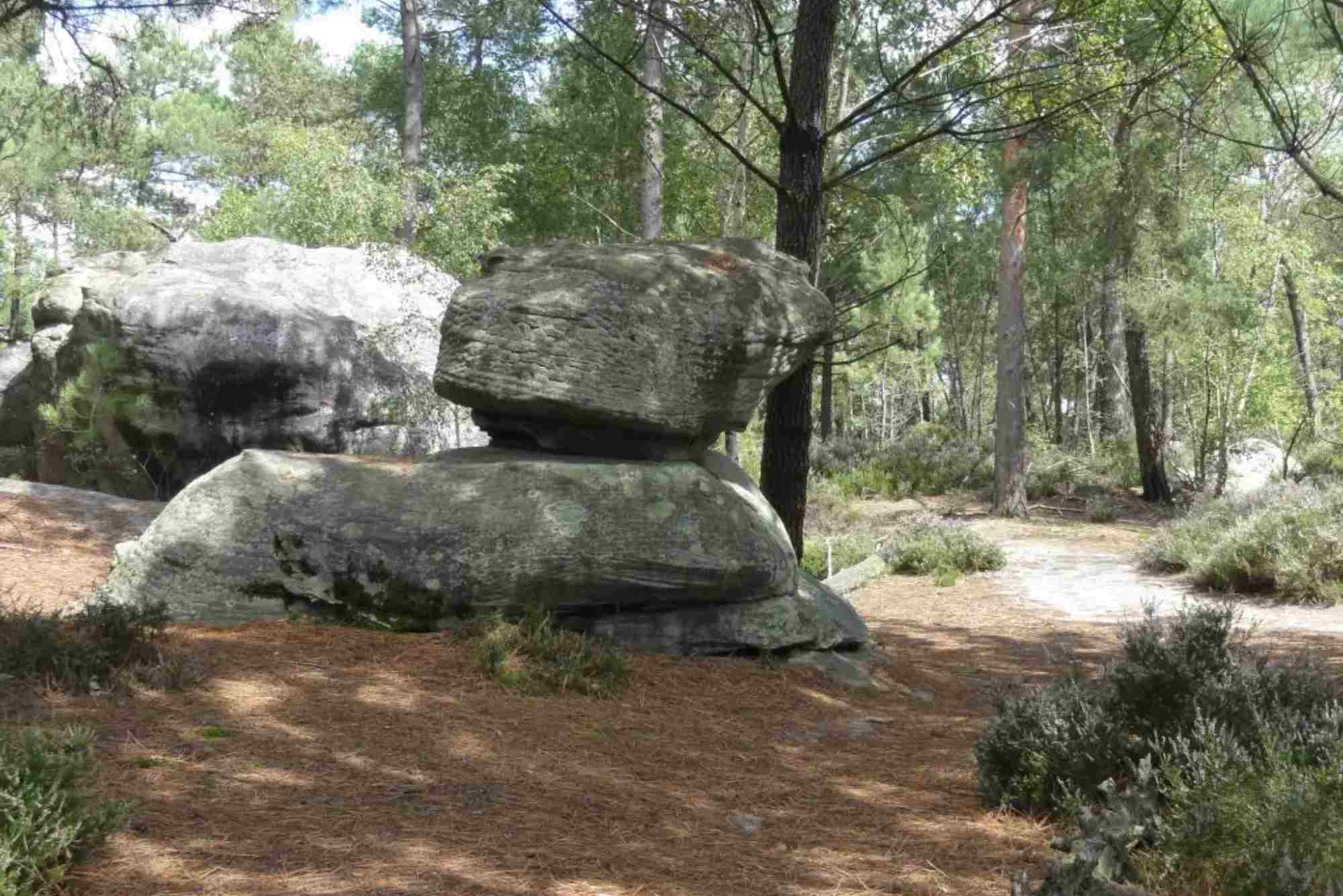 Trail Guide — Hiking Near Paris: Routes, Distance & Tips