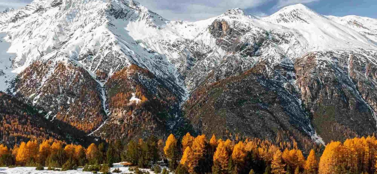 Designer Names In The Engadin