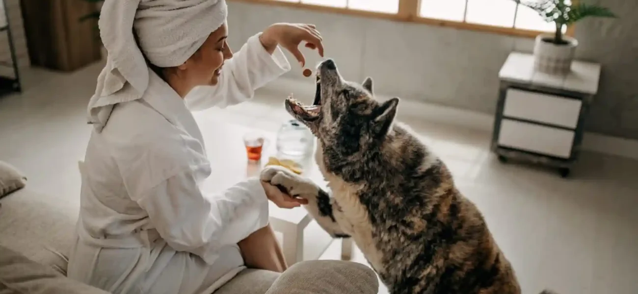 How to Keep Your Dog Calm During Hotel Stays (No Barking in Rooms)