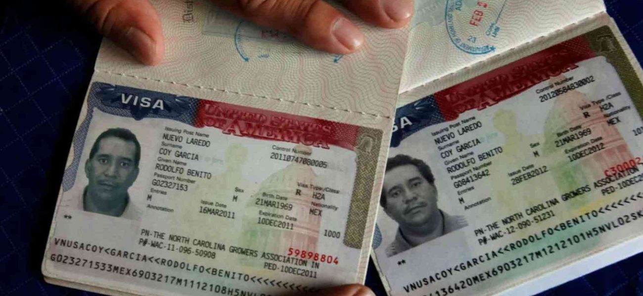 P3 Visa Price in 2026 Total Cost, Fees & Process