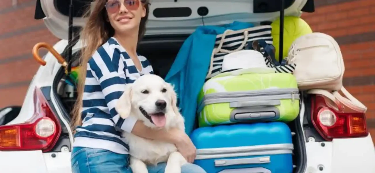 Road Tripping with Dogs 10 Essential Safety Tips and Packing Checklist