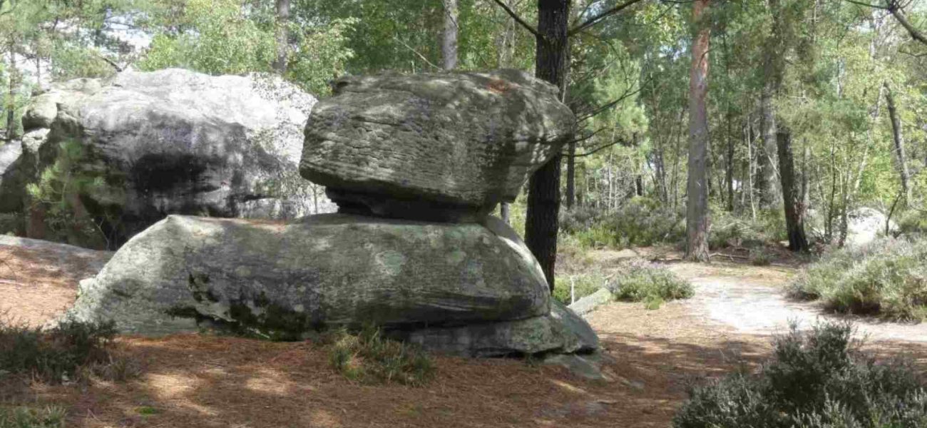 Trail Guide — Hiking Near Paris: Routes, Distance & Tips