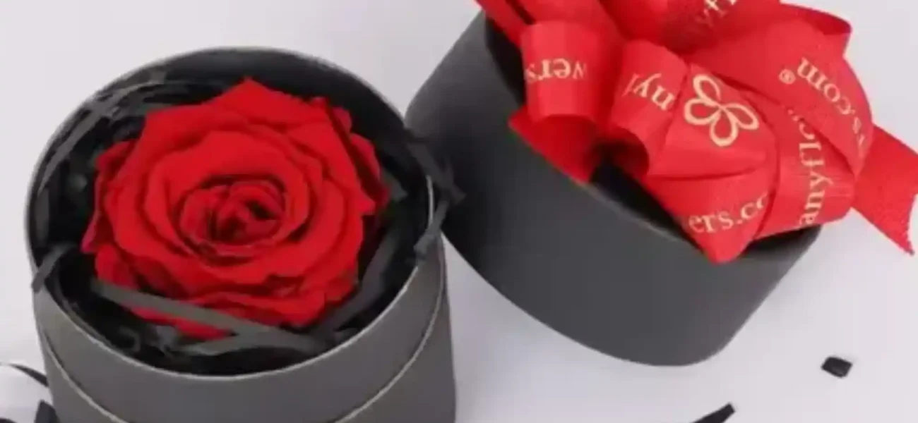 Where is Red Rose UAE located and how to get there?